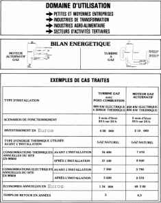 bilan energie cogénération